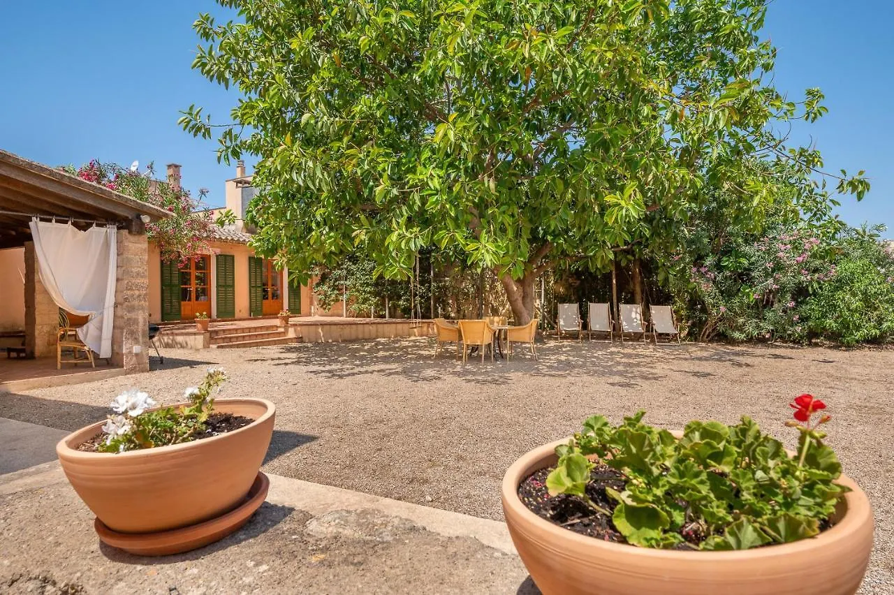 Casa Can Pauma Cas Concos Holiday home